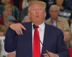 donald-trump-mocks-disabled-reporter